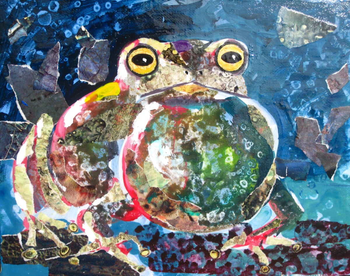 Rainbow Peeper by Susan F. Schafer Studio 