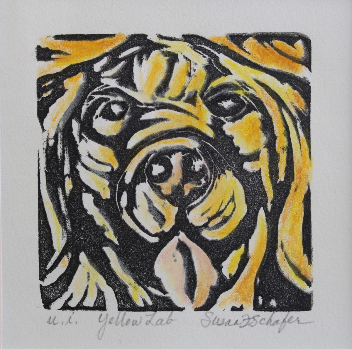 Yellow lab, u.i. by Susan F. Schafer Studio 