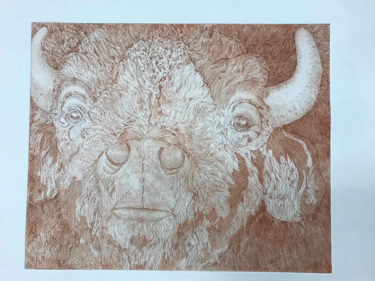 Bison Approaching, VI 1/20 by Susan F. Schafer