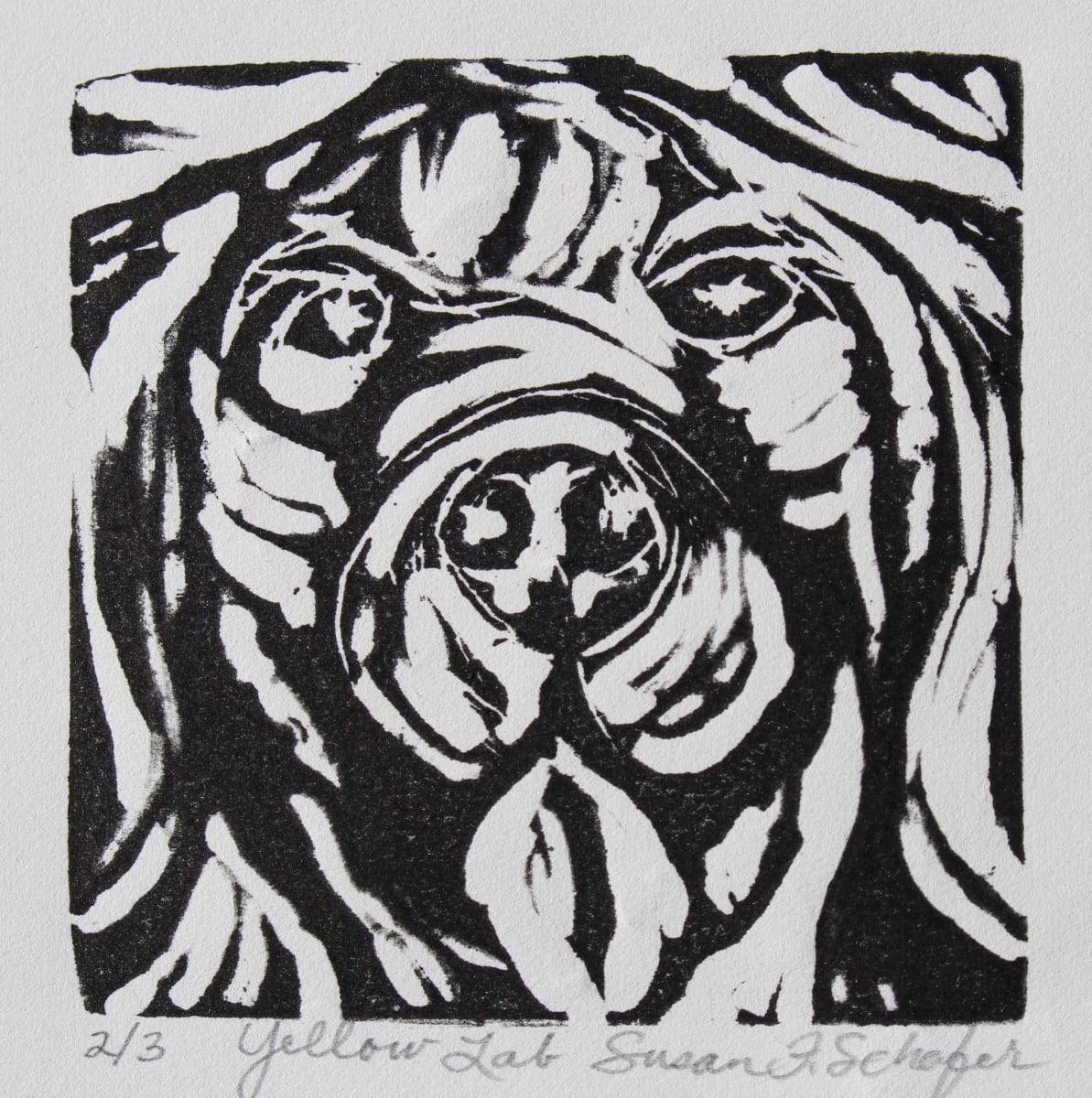 Yellow Lab 1/3 by Susan F. Schafer Studio 