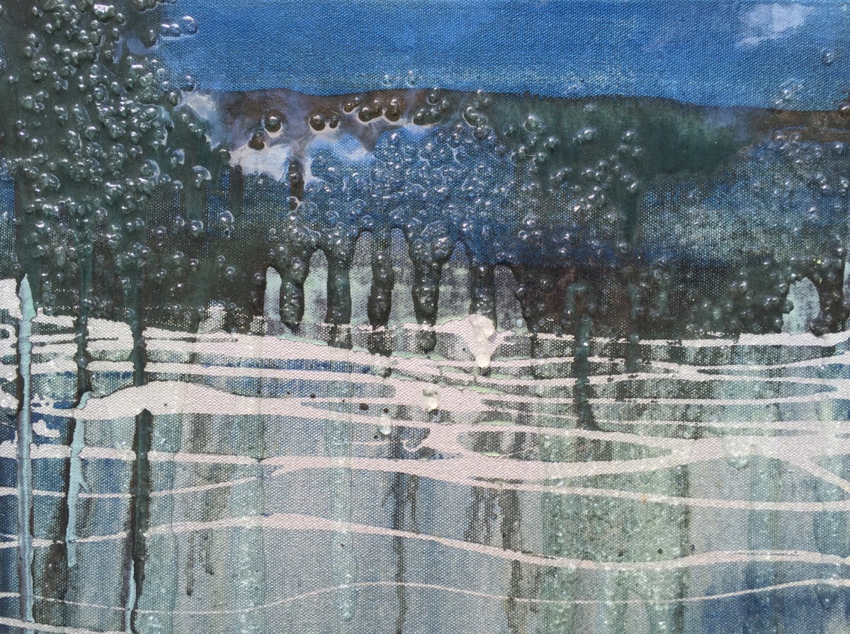 Reflections of Midnight series 1 by Tara Austin Novak 