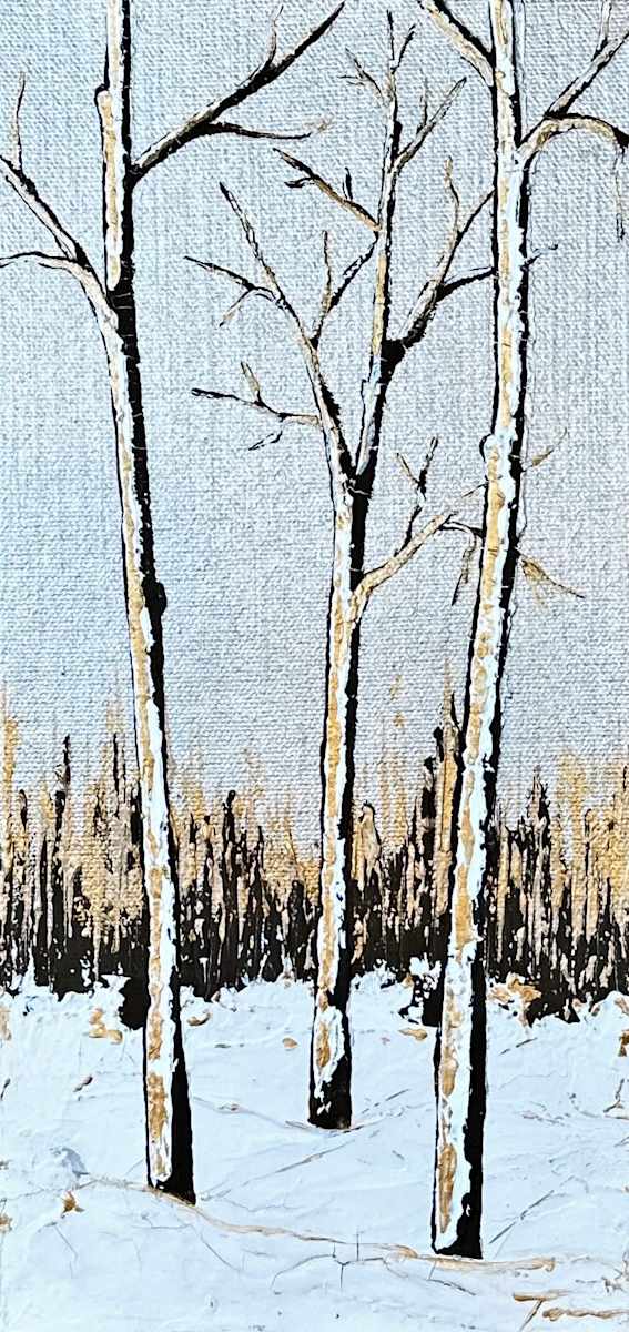 Aspens in the Snow - Silver Sky by Tara Austin Novak 