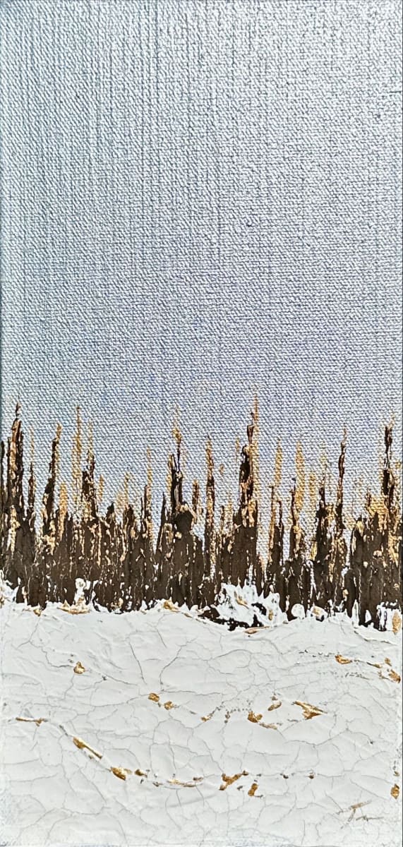Silver Skies - Aspens Series 50 by Tara Austin Novak 
