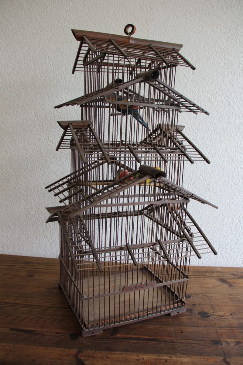 Bird cage 