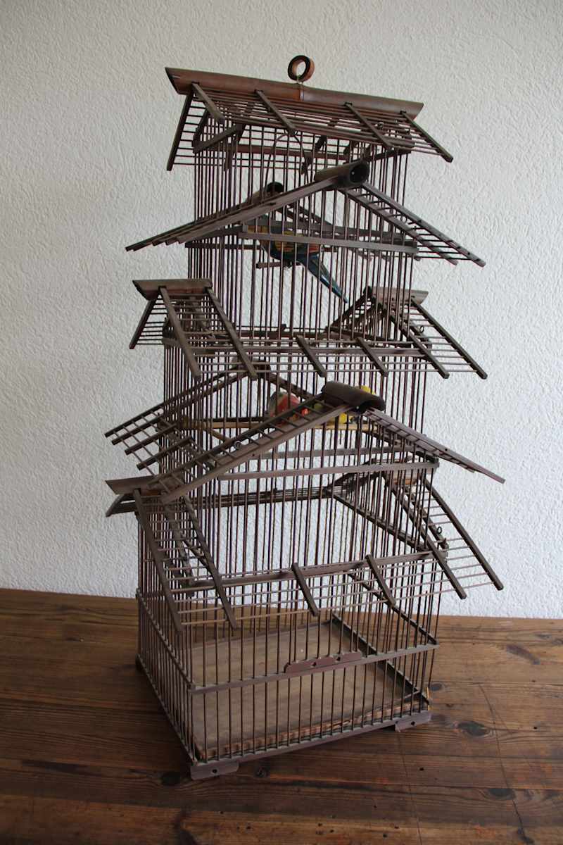 Bird cage, Image 1.