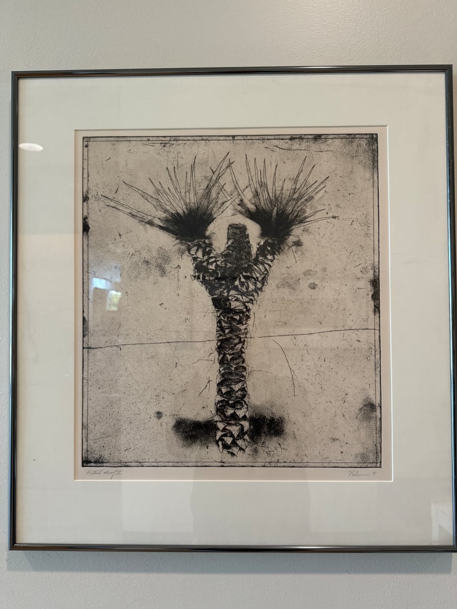 Yucca Tree by Mark Pelnar 
