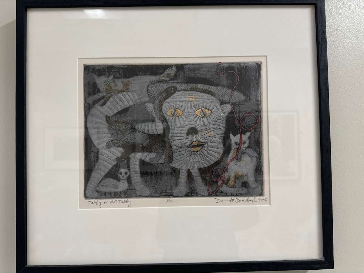 Tabby or Not Tabby by David Dreisbach 