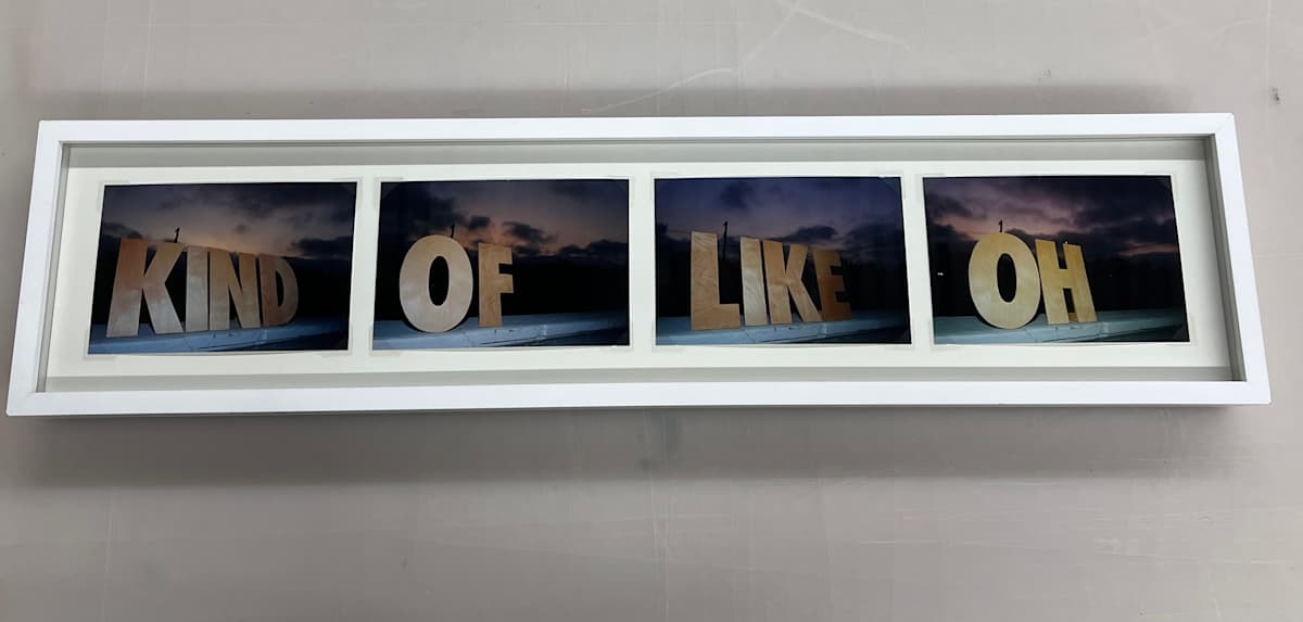 The Words (kind, of, like, oh) by Ken Fandell 
