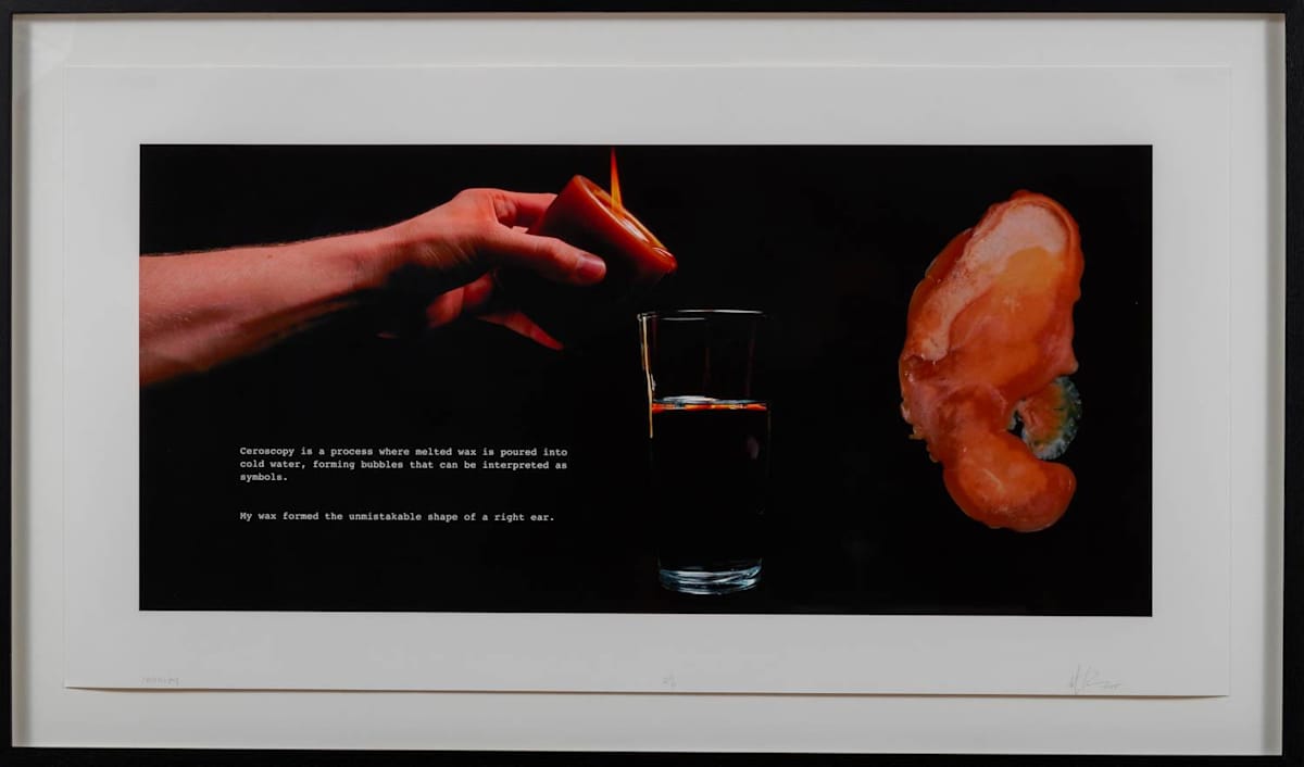 Burden of Proof Series Ceroscopy by Nate Larson 