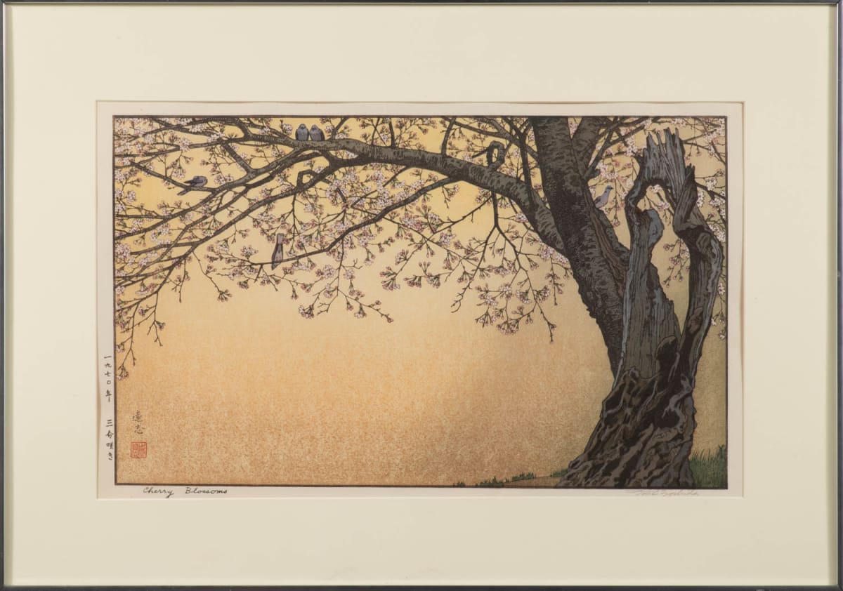 Cherry Blossoms by Yoshida Toshi 