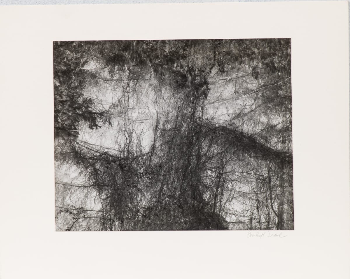 Unknown by Charles Traub 