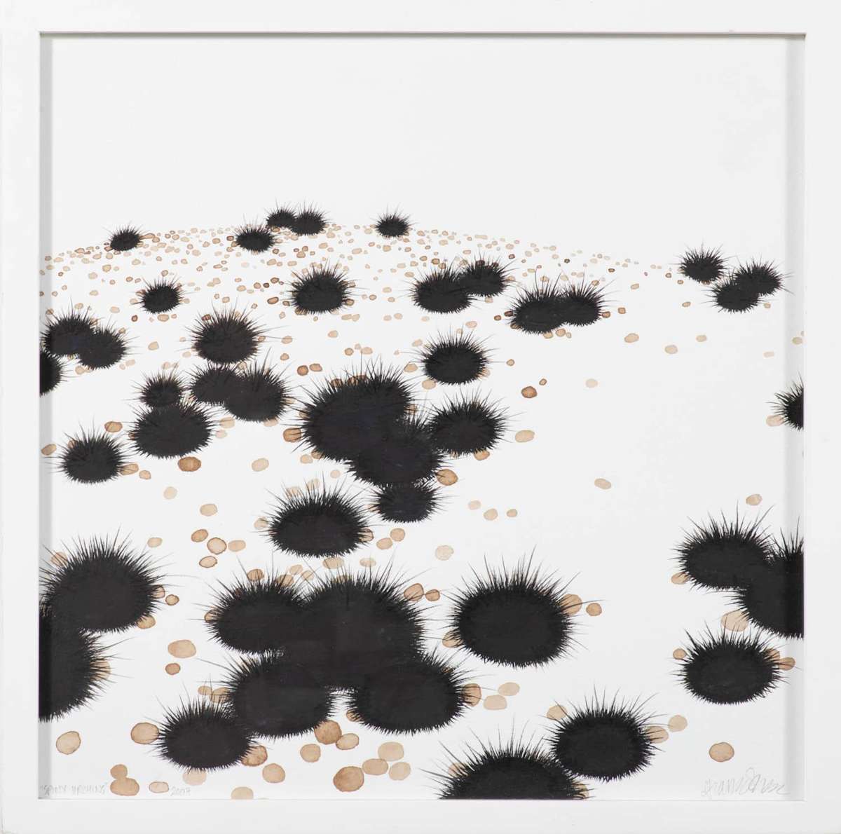 Spiny Urchins by Francesca Sundsten 