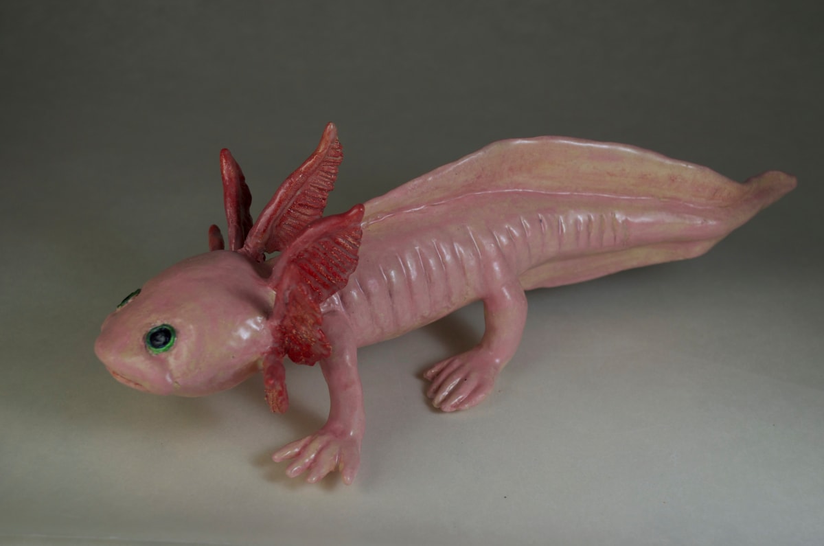 Little Axolotl by Susan Silvester 