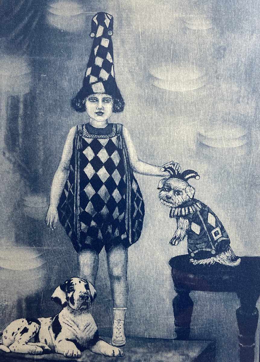 Harlequin Huddle by Susan Silvester, Image 1.