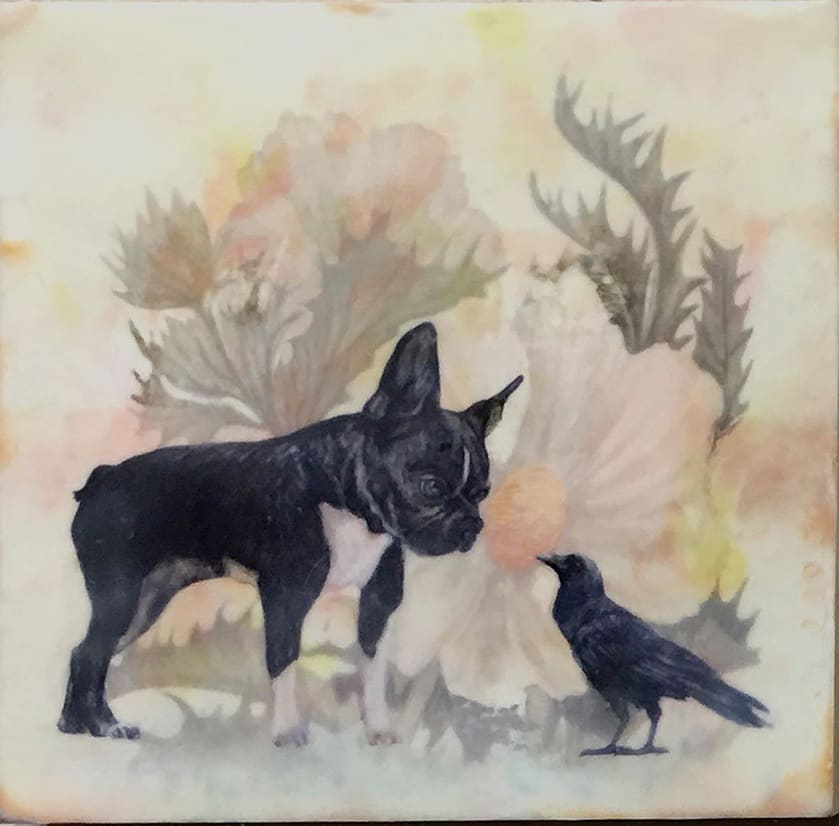 Discord by Susan Silvester  Image: This encaustic painting juxtaposes a French Bulldog and a crow, symbolizing the tension between domesticity and the untamed, set against a serene floral backdrop of soft colors and stark black creatures.