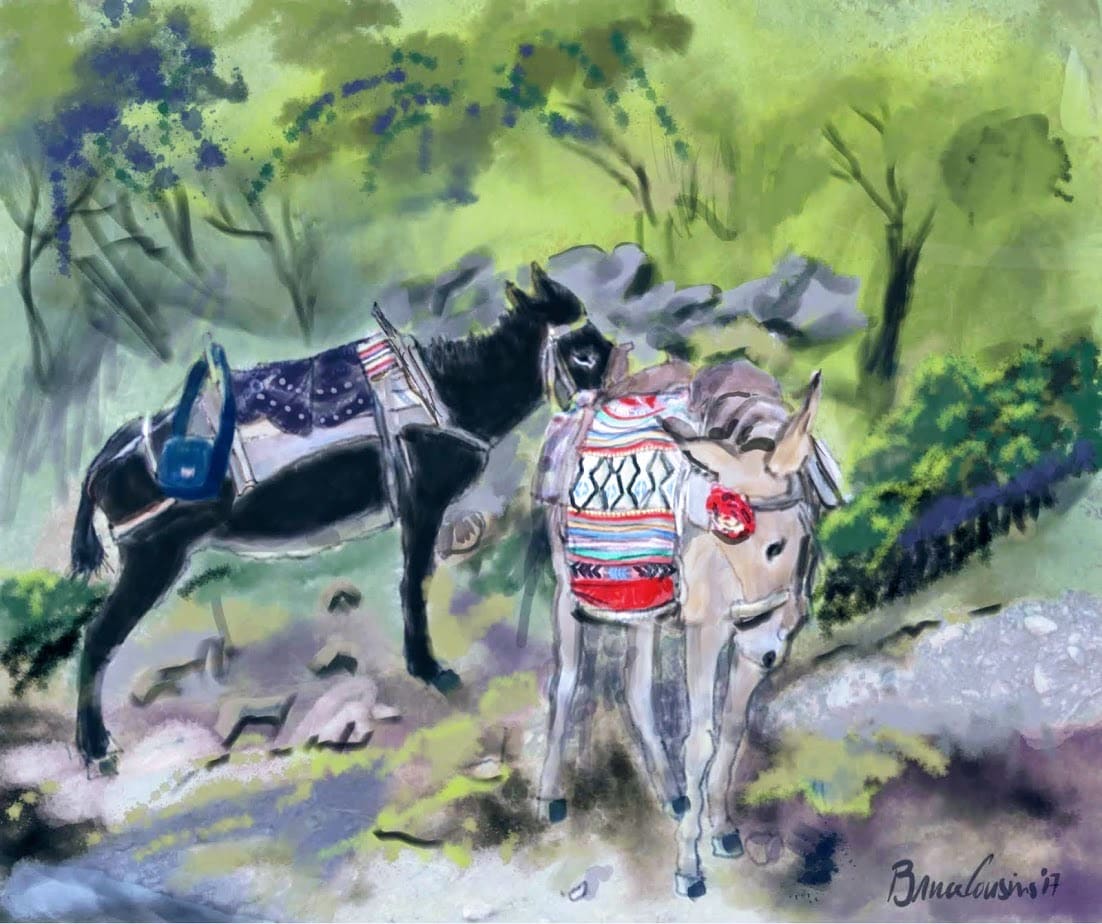 Zeuses Asses by Bruce C. Cousins 