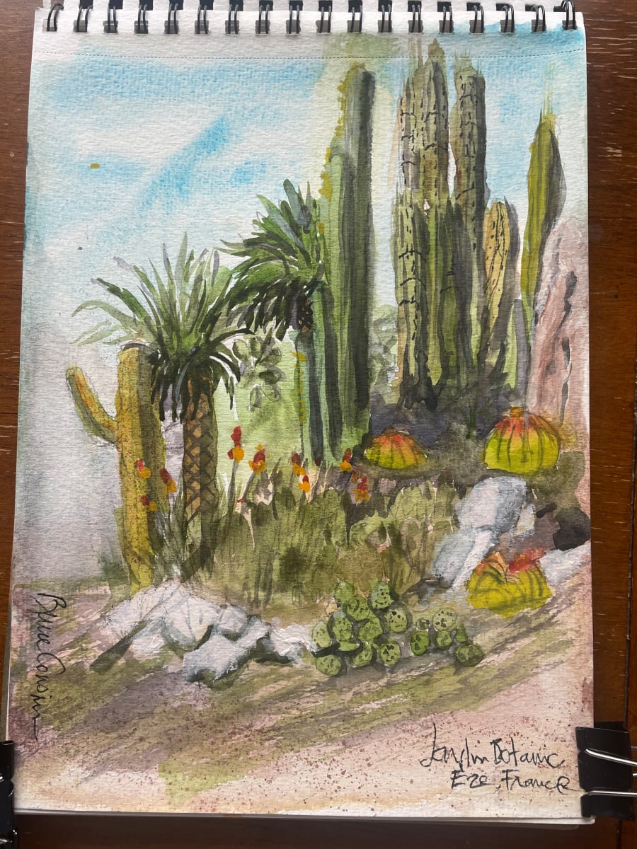 Cactus Garden in the Sky - Ez, France 