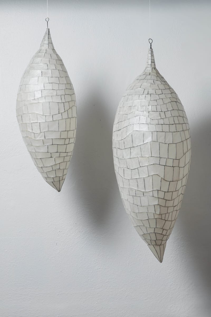 Pods by NANCY MINTZ 