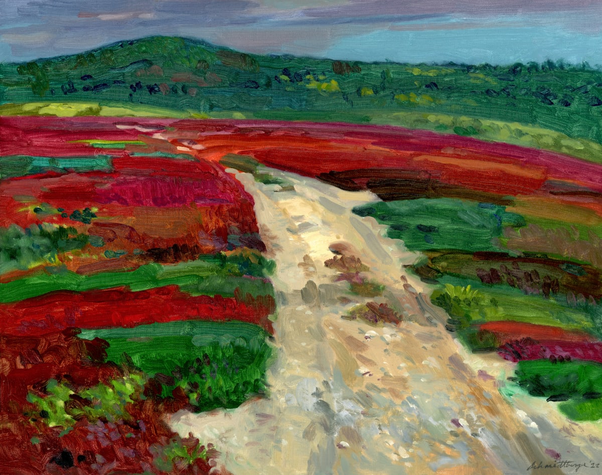 Road through the Blueberry Barren by John Schmidtberger 