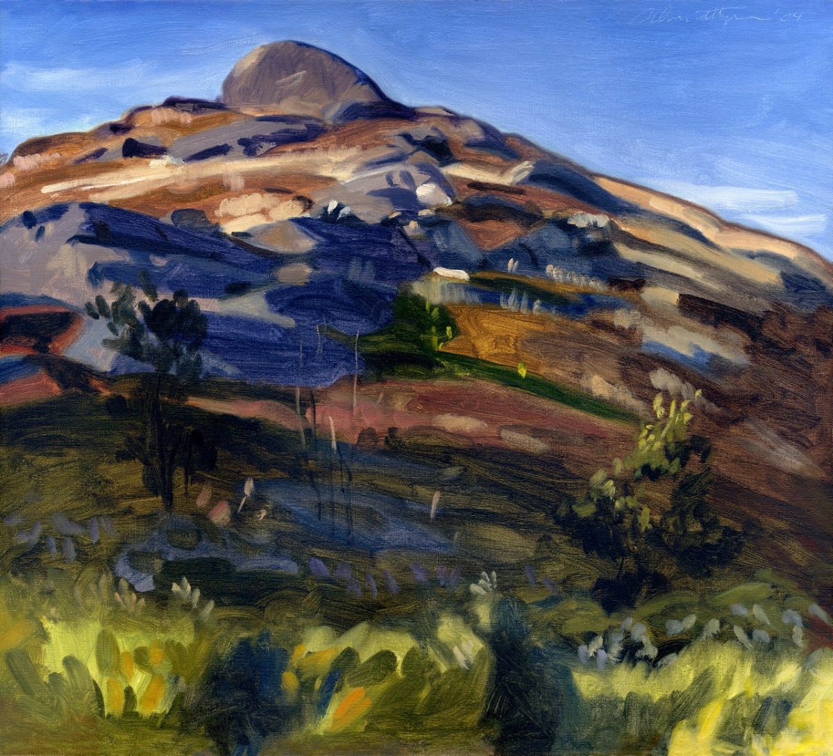 Midcoast Blueberry Barren by John Schmidtberger 