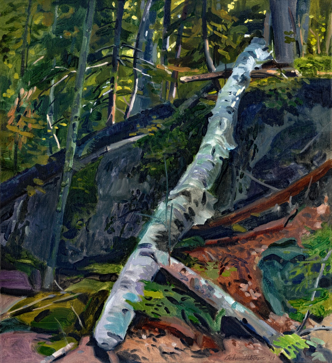 Fallen Birch by John Schmidtberger 
