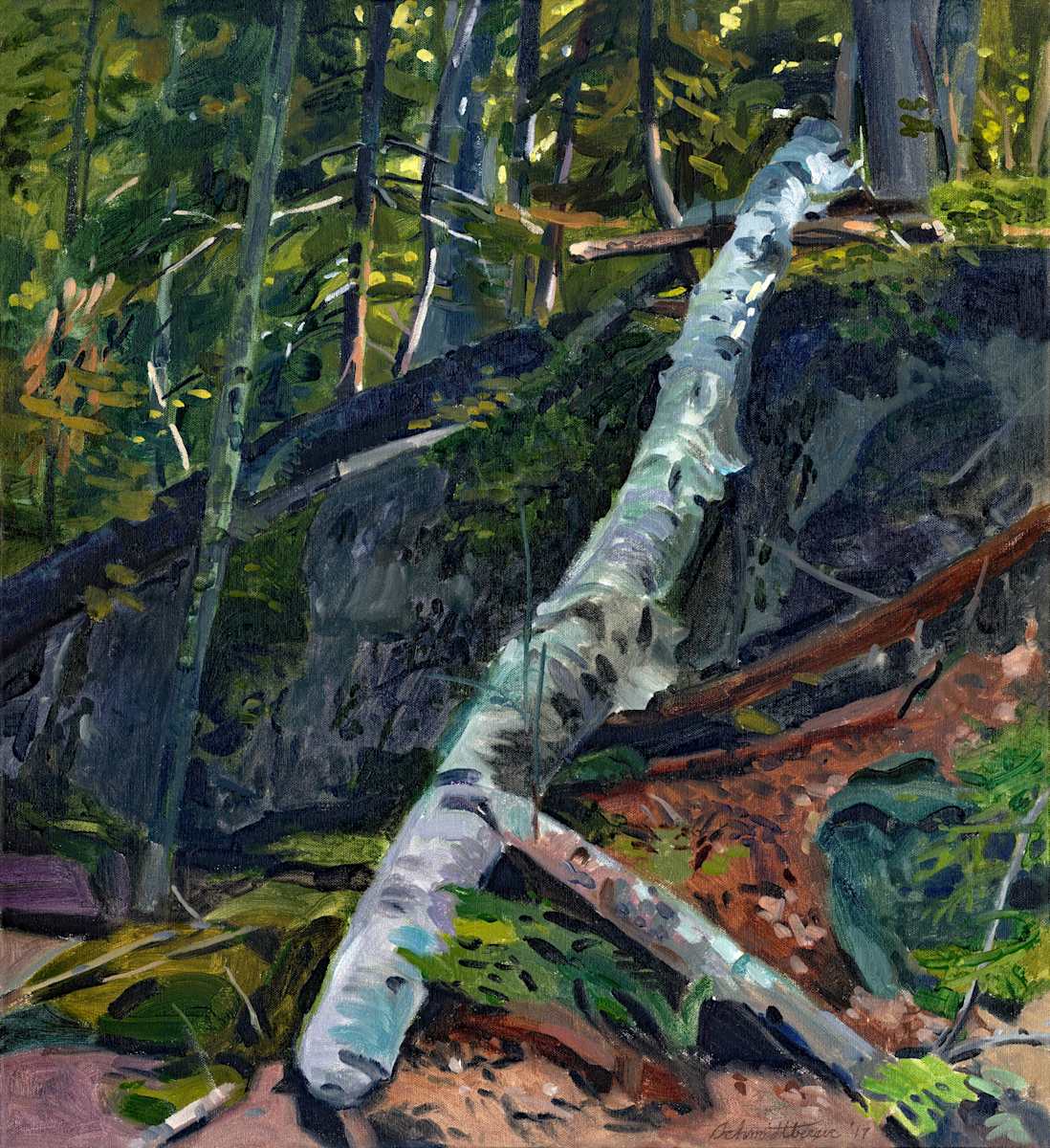 Fallen Birch by John Schmidtberger, Image 1.