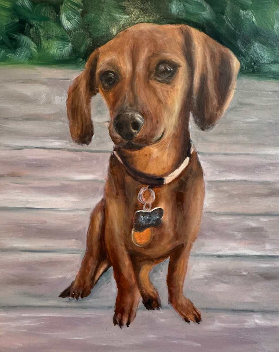 Neysa pet portrait III by Amelie Hubert, Image 1.