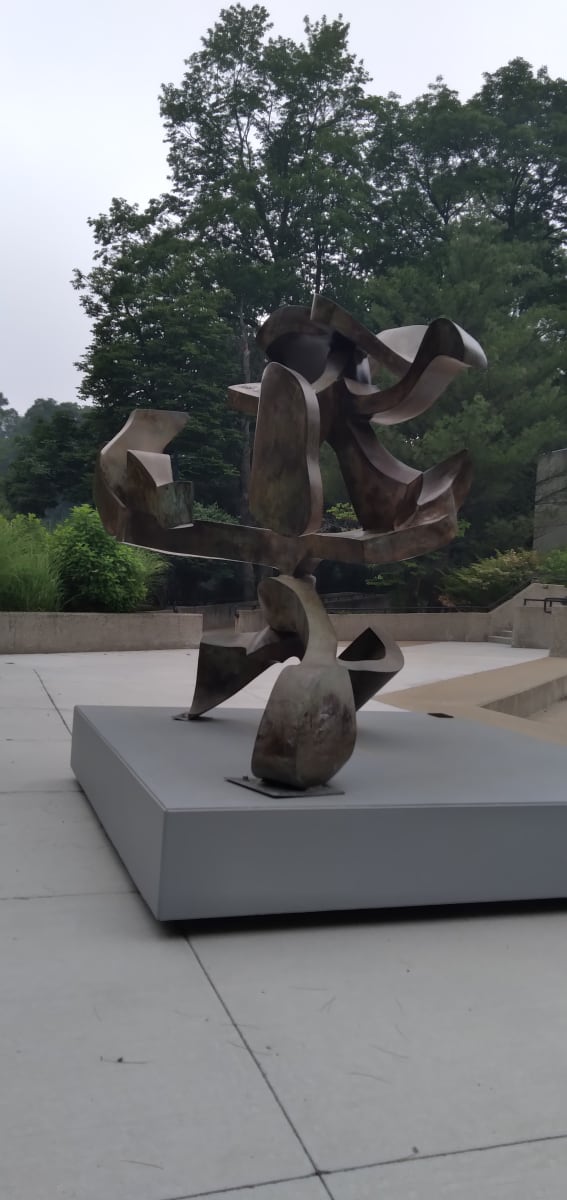 Bella Bravo by Bill Barrett 