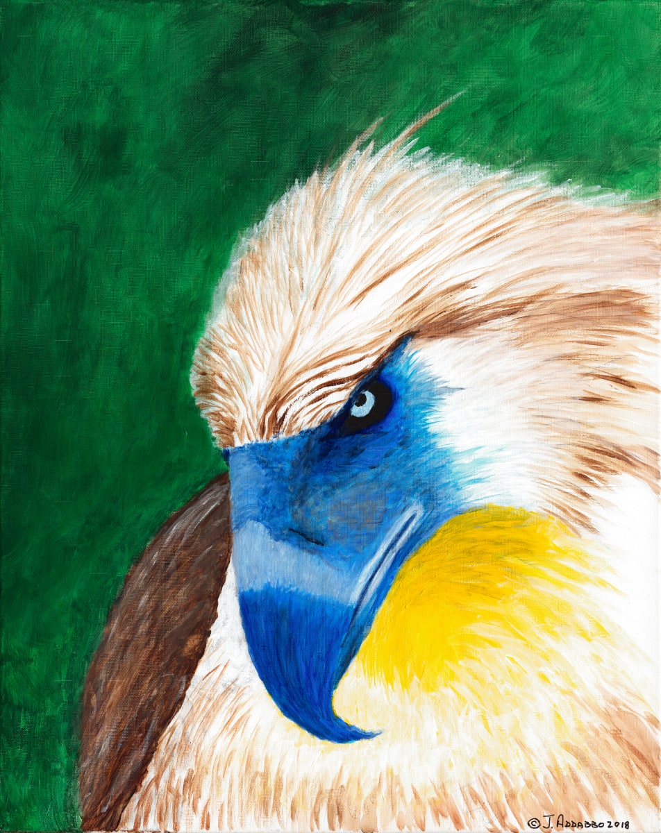 Eagle's Stare by Joe Addabbo  Image: Eagle's Stare