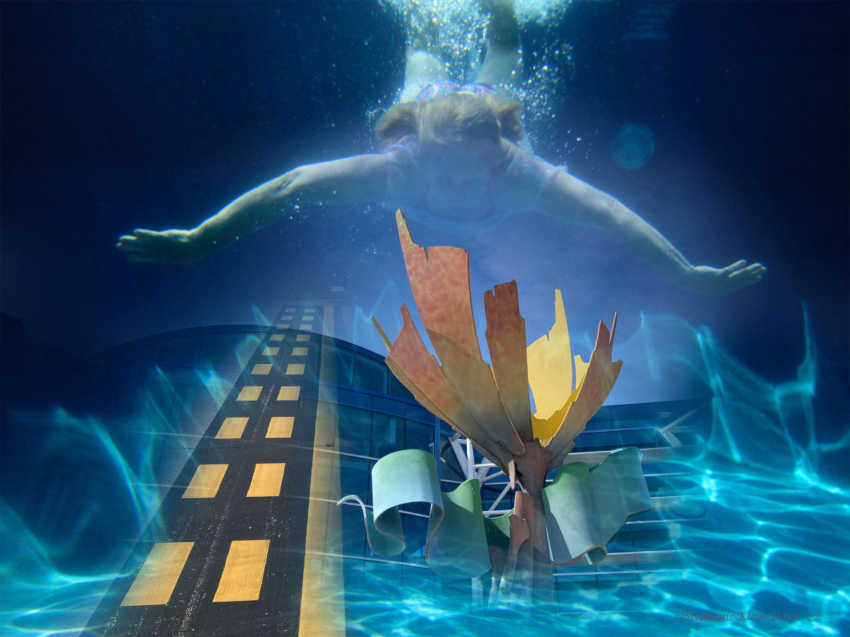 Aurora Sky Dive by Stephanie Klein-Davis 