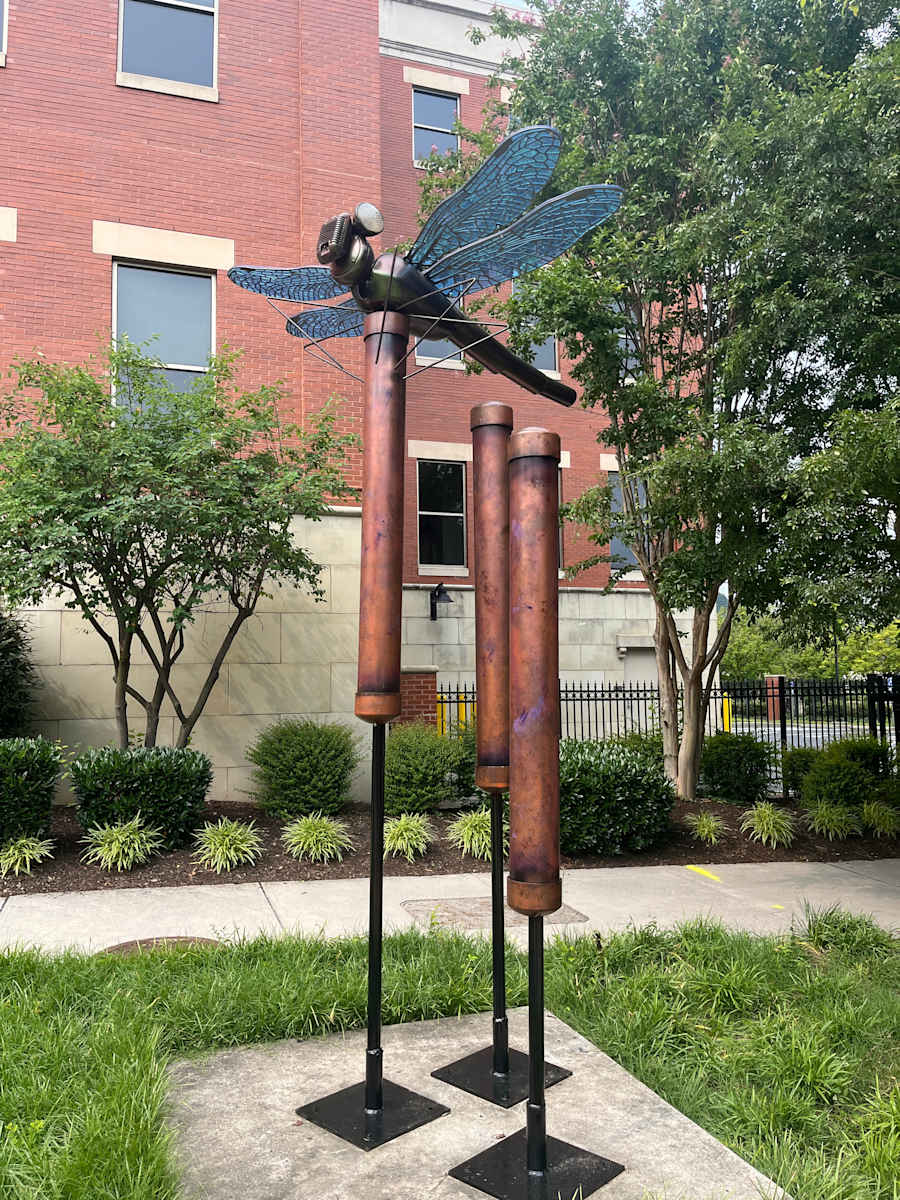 Dragonfly by Kirk Seese, Image 1.