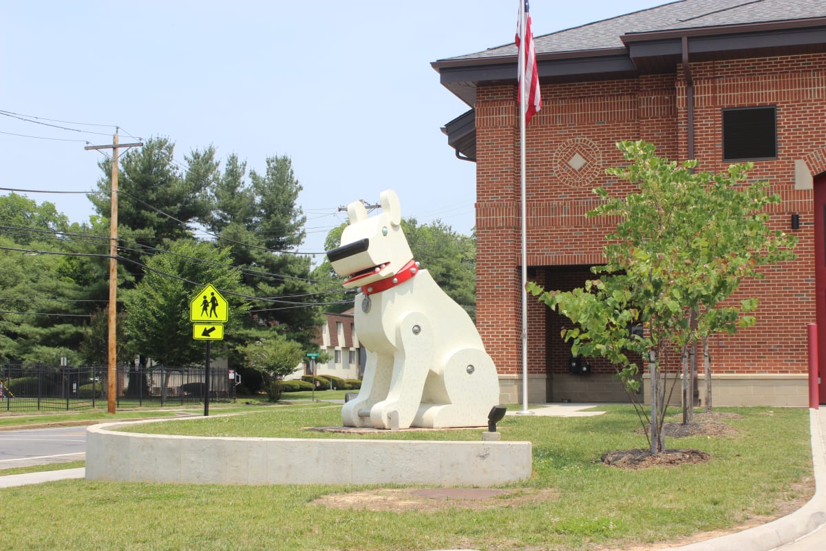 Trojan Dog by Ann Glover  Image: Finished Installation