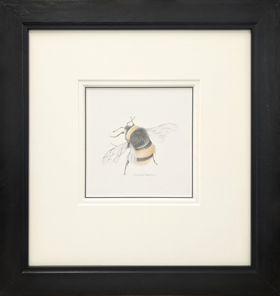 BumbleBee xiv, Image 2.