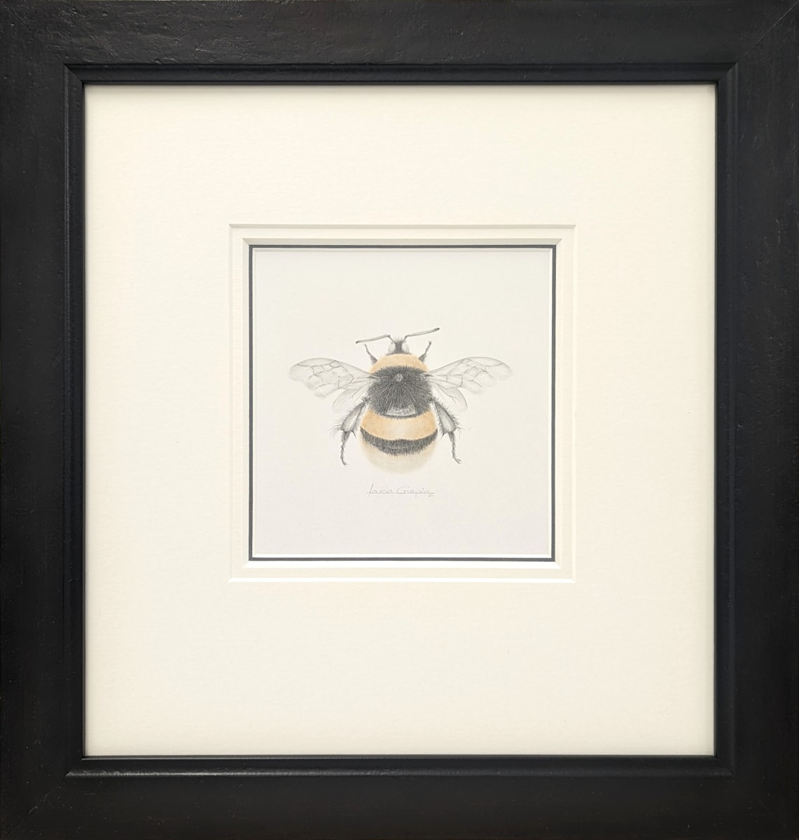 BumbleBee xvii by Louisa Crispin 