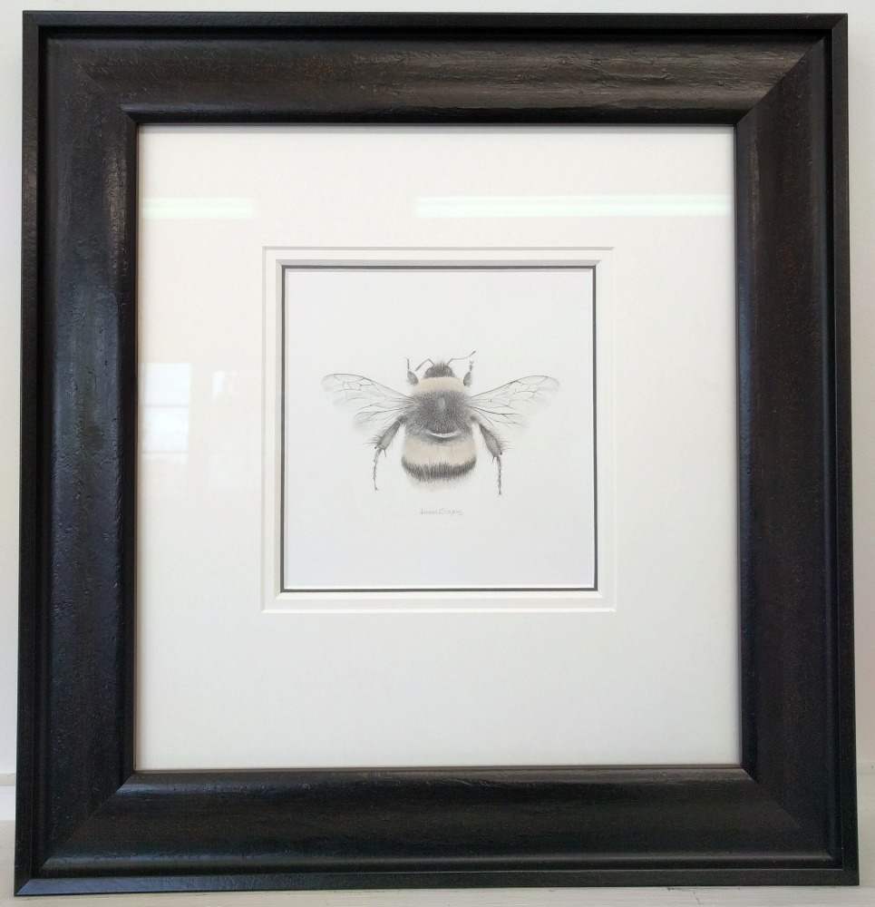 BumbleBee classic by Louisa Crispin, Image 1.