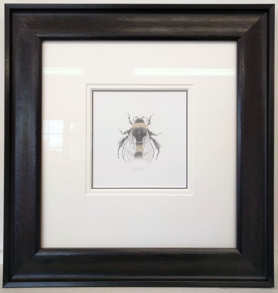 BumbleBee ii by Louisa Crispin, Image 1.