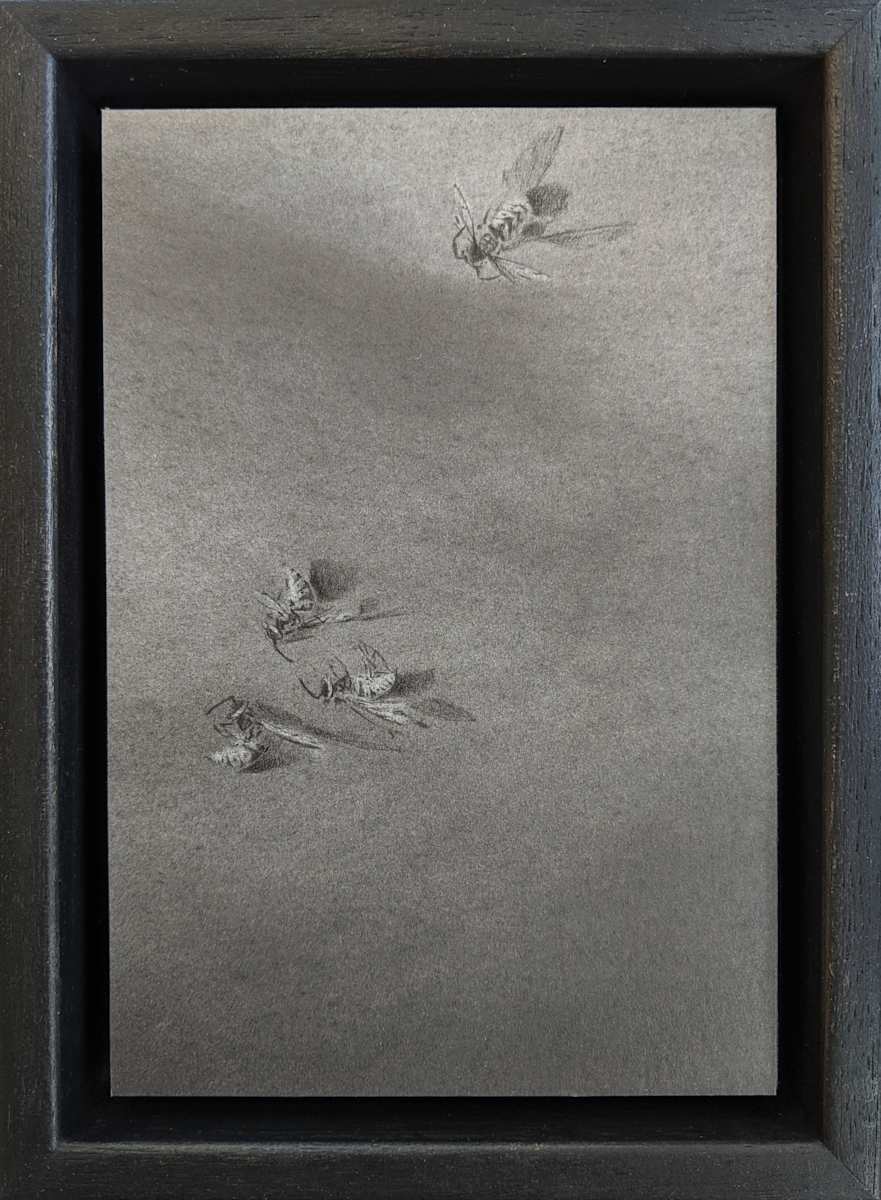 FP Minimus Thirty Five by Louisa Crispin, Image 1.
