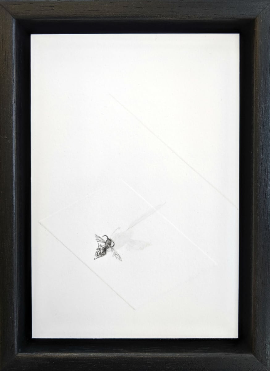 FP Minimus Thirty Three by Louisa Crispin, Image 1.