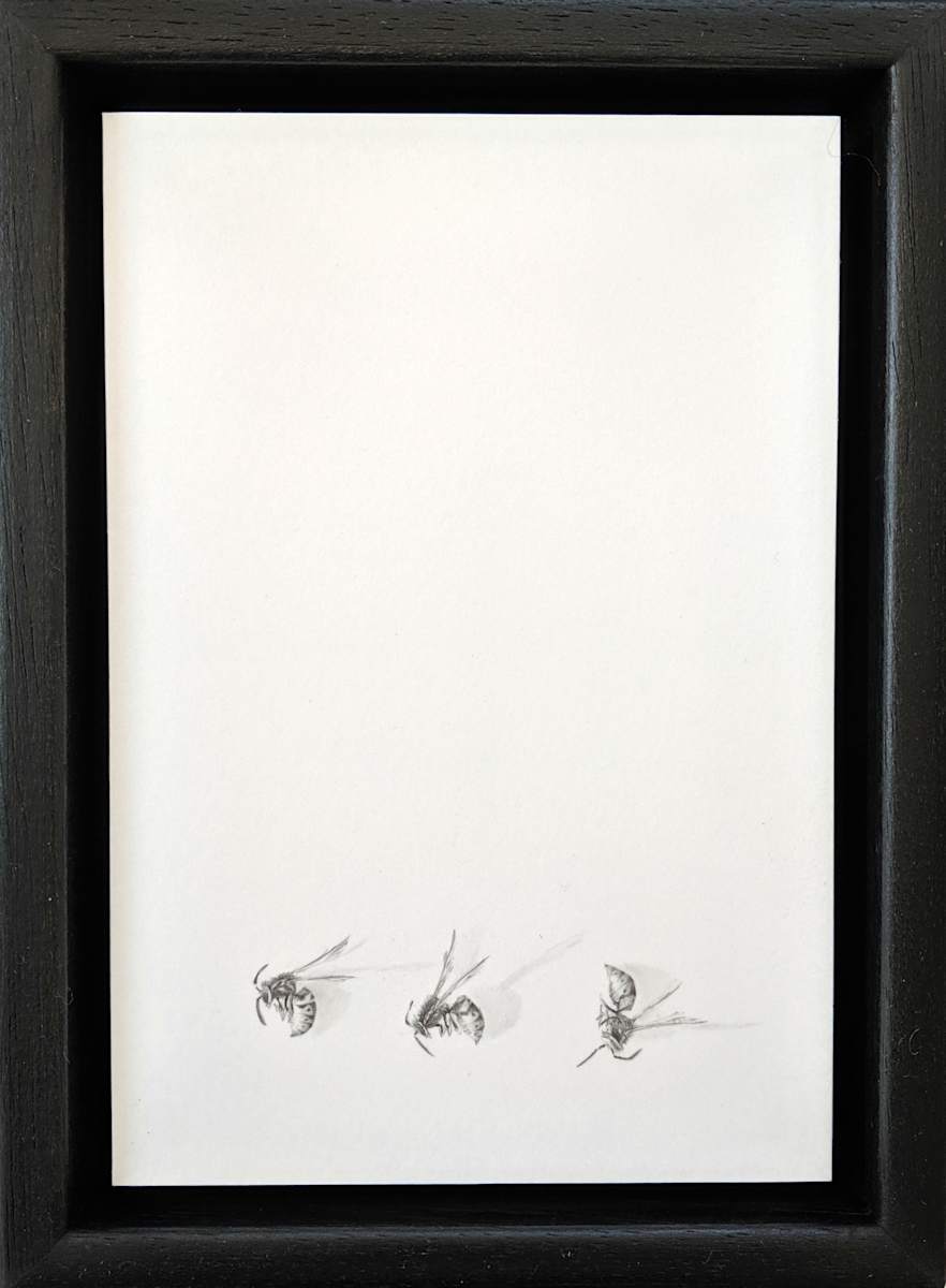 FP Minimus twenty five by Louisa Crispin, Image 1.