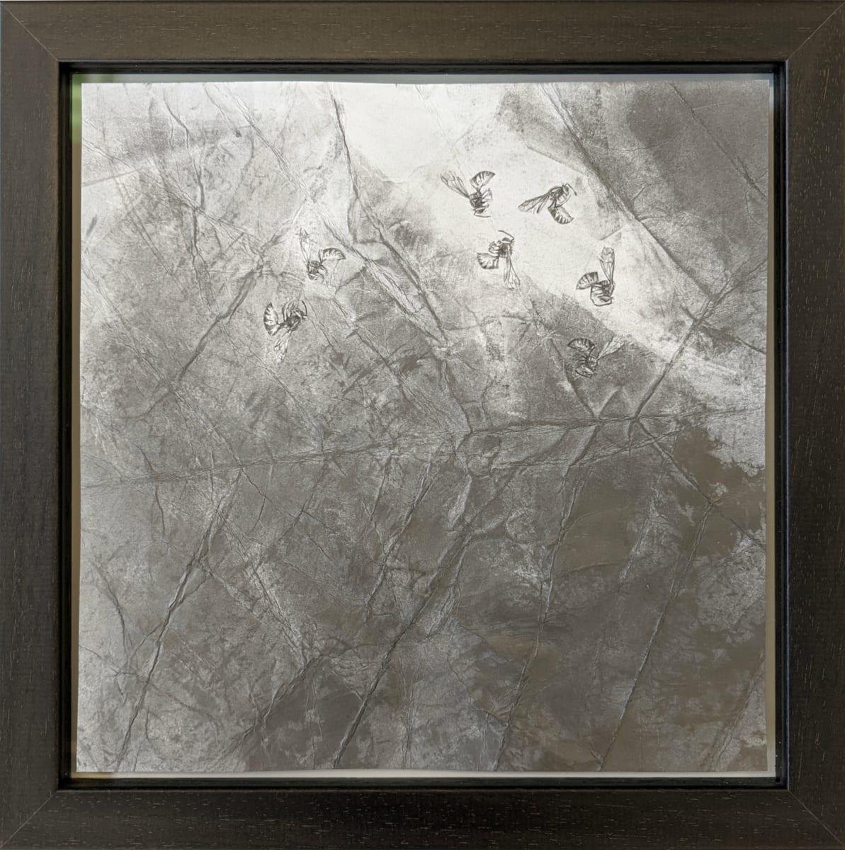 FlightPath lvi, Image 1.