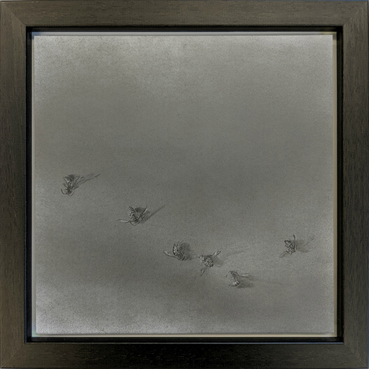 FlightPath xxxiv by Louisa Crispin 
