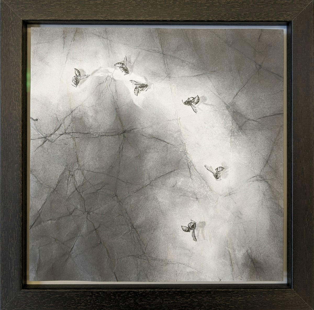 FlightPath xxxxxi (li) by Louisa Crispin, Image 1.