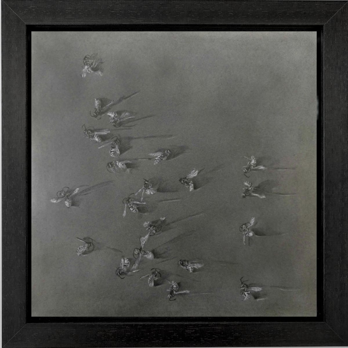 Flight Path iii by Louisa Crispin, Image 2.