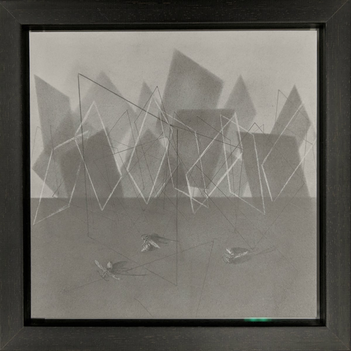 Flight Path xxiv by Louisa Crispin, Image 1.