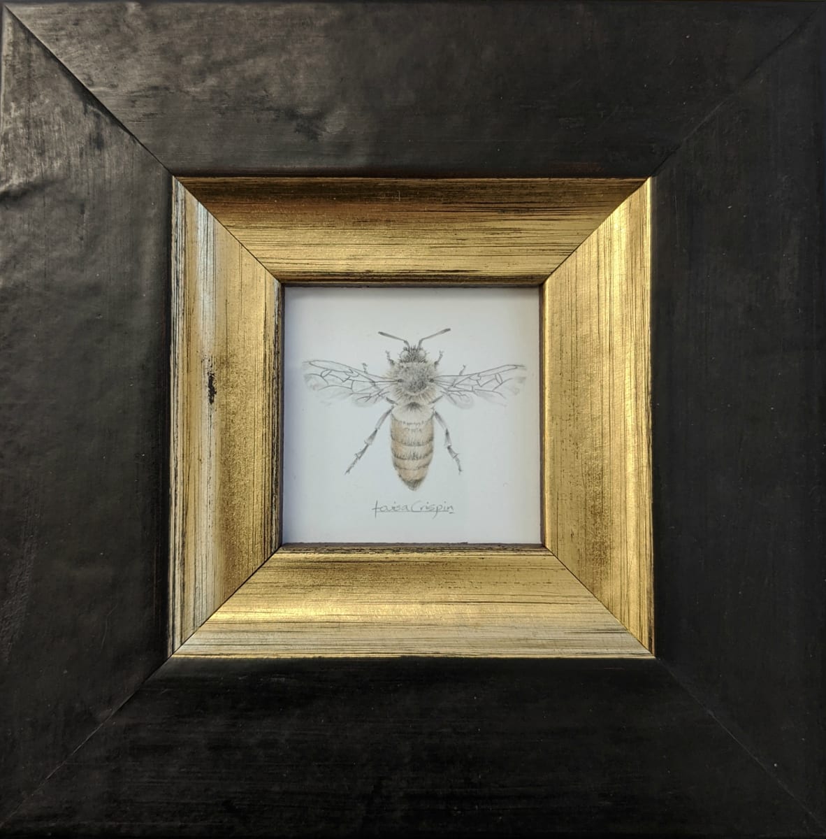 Individual Honey Bees  Image: HB002