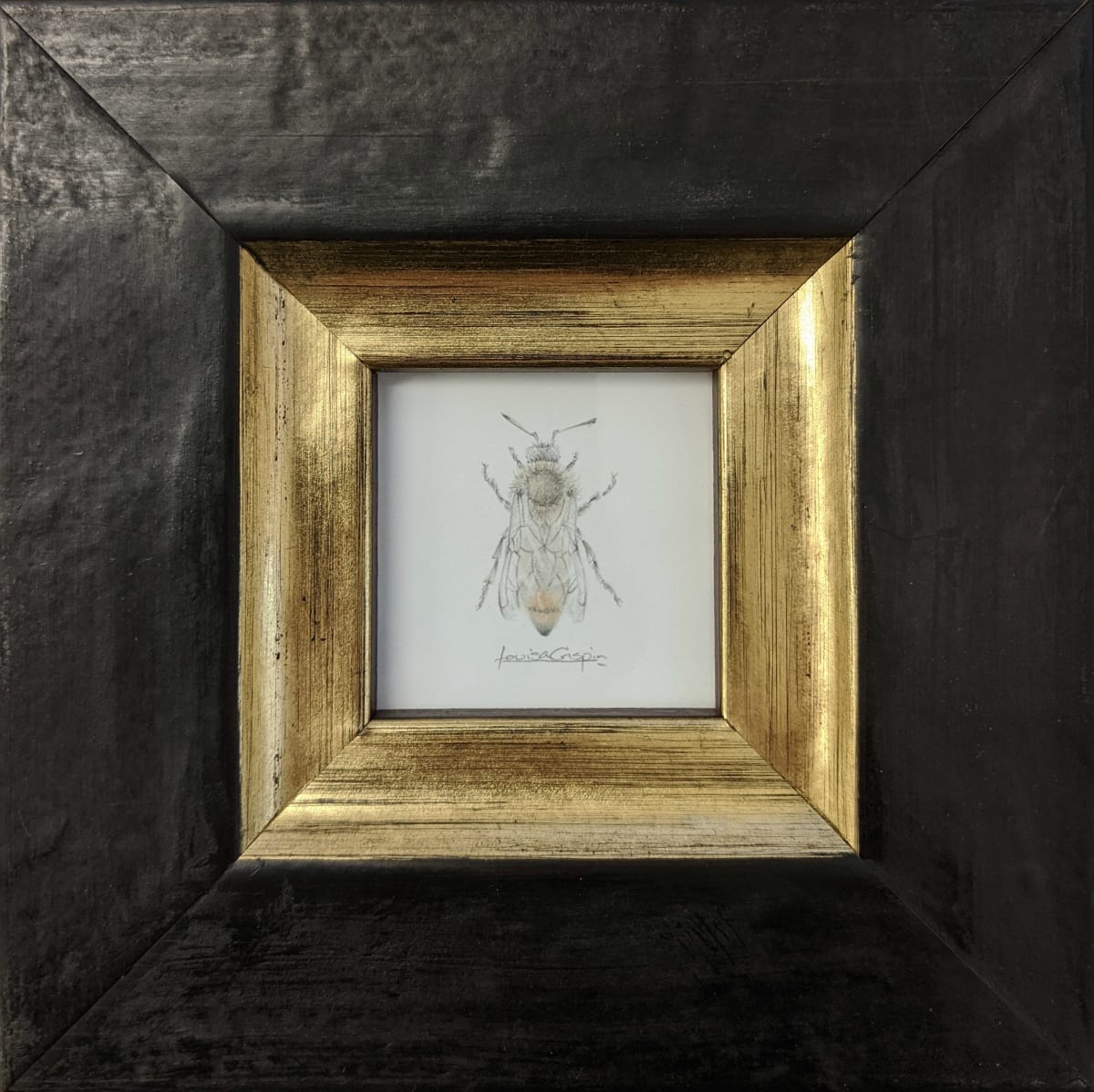 Honey Bee HB003 by Louisa Crispin 