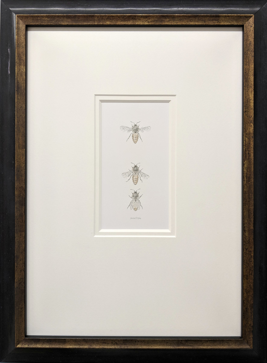 Honey Bee 3.11 by Louisa Crispin 