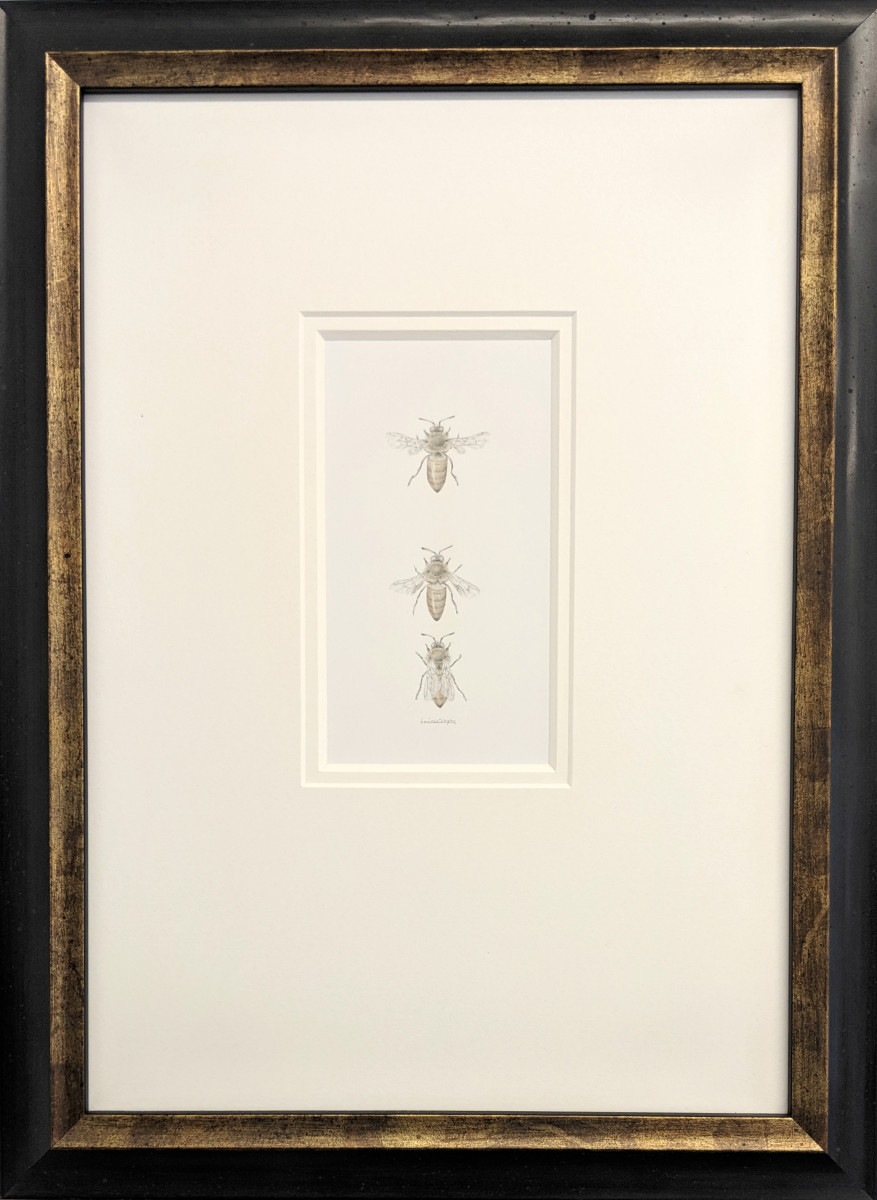 Honey Bee 3.14 by Louisa Crispin 
