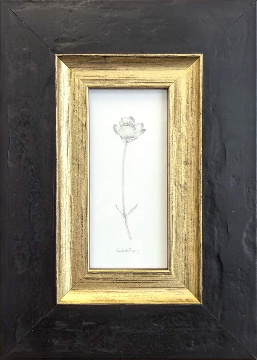 Buttercup BU001 by Louisa Crispin 