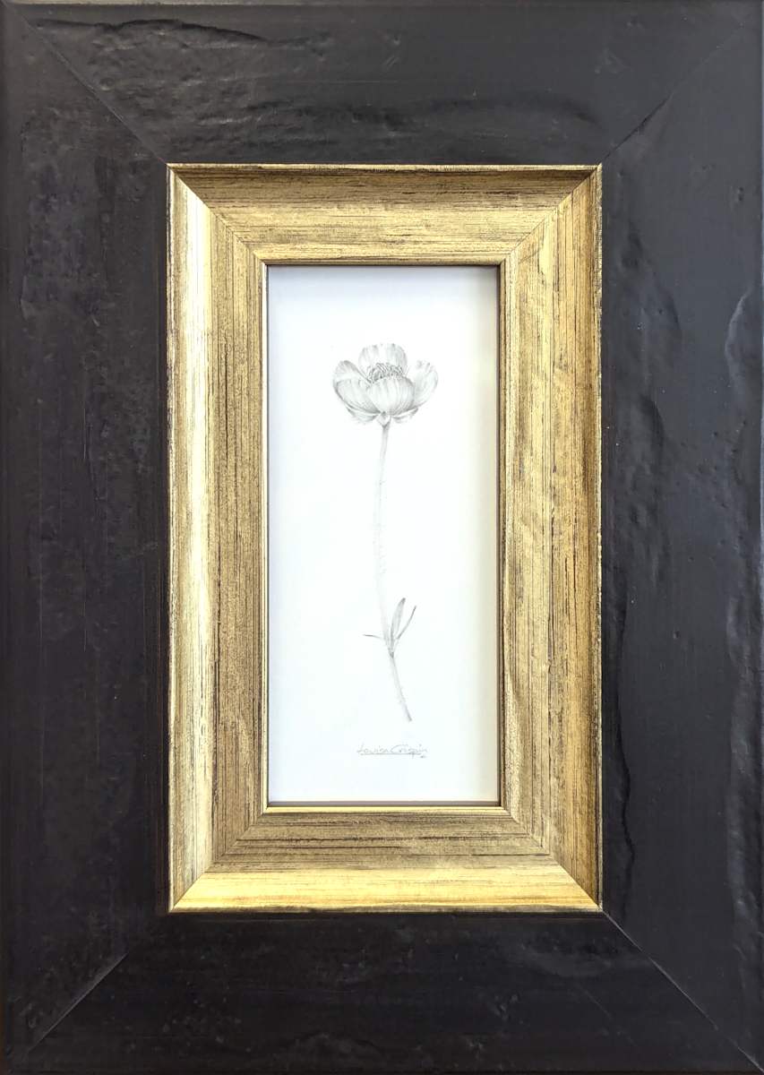 Buttercup BU002 by Louisa Crispin 